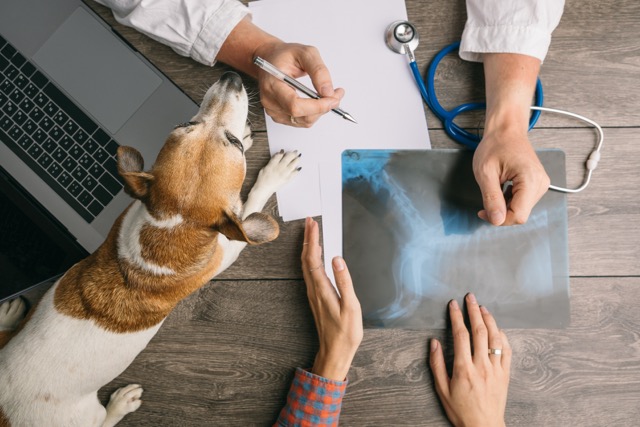 Mittel (iStock-996011722)